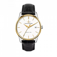 Watch Lucien Rochat Man in Steel R0451115007 - R0451115007
